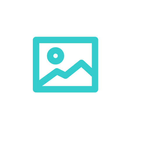 Canva Icon
